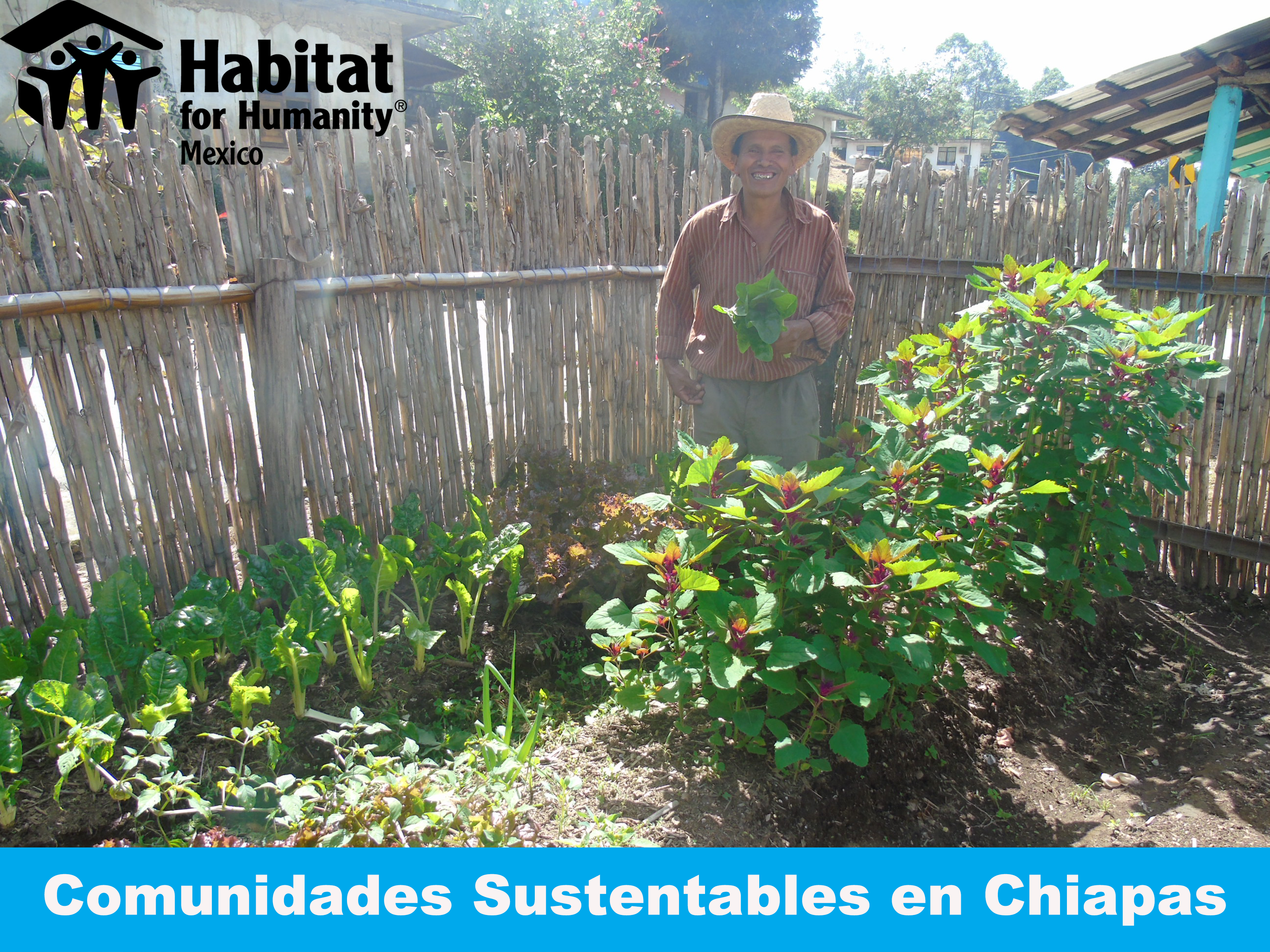 Comunidades sustentables en Chiapas